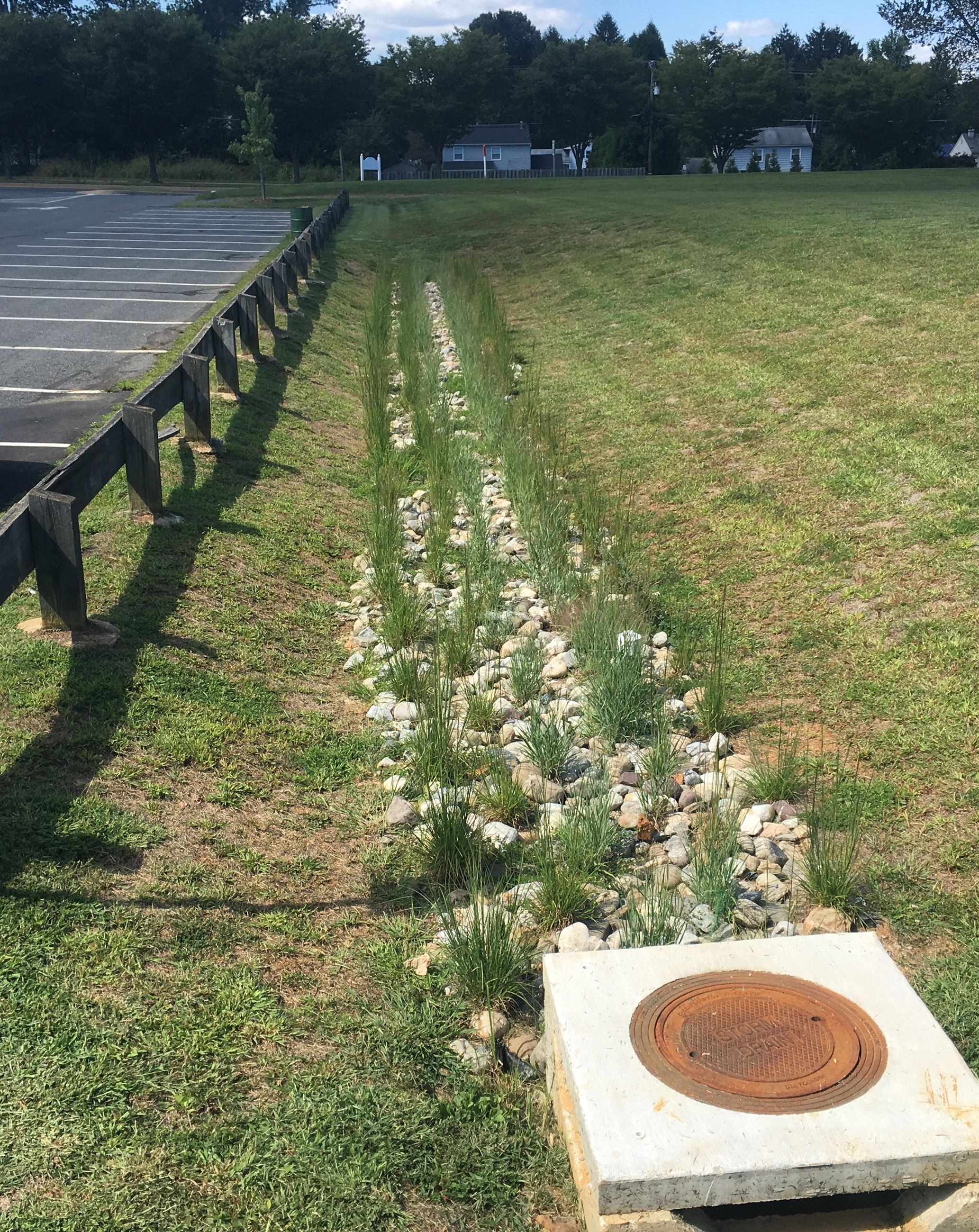 Rockfield Rain Garden