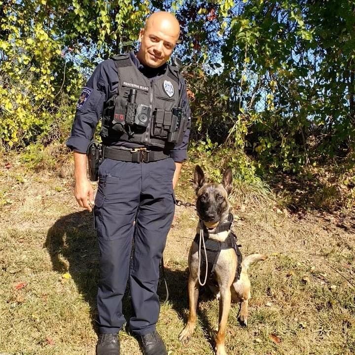 315300925_497765599059334_2541261479988648490_n