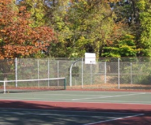 Homestead Park Tennis and Basketball